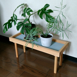 うんてい ブレキエーション 【スラックラインは無し】鉄棒 ボルダリング うんてい ブレキエーション 【スラックラインは無し】鉄棒
