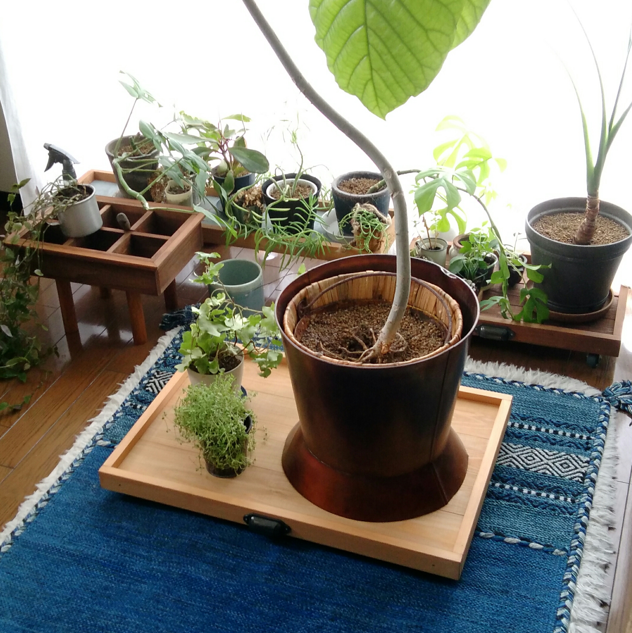 キャスター付き 木製プランターテーブル　　 （LLサイズ）