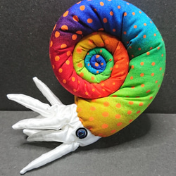 アンモナイトのぬいぐるみ 291 ぬいぐるみ ソラシャ 通販 9966397