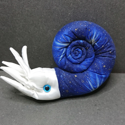 アンモナイトのぬいぐるみ 291 ぬいぐるみ ソラシャ 通販 9966397