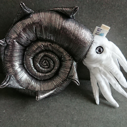 アンモナイトのぬいぐるみ 291 ぬいぐるみ ソラシャ 通販 9966397