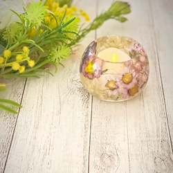 春のお花(LEDキャンドル)ロータンゼマムとビオラ♡ 1枚目の画像