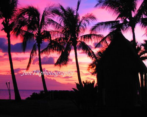 Pink Sunset】ハワイ海の写真 夕陽 オーシャン ビーチ ヤシの木