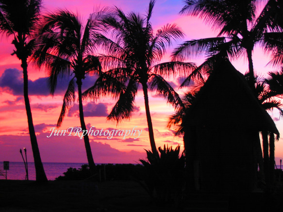 Pink Sunset】ハワイ海の写真 夕陽 オーシャン ビーチ ヤシの木