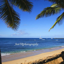 【Sailing Off】ハワイ海の写真　青い海　オーシャン　ビーチ　ヤシの木　南の島　南国　風景写真　マットフレーム 1枚目の画像