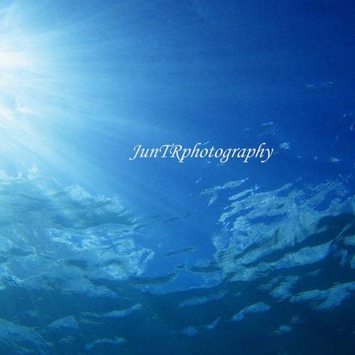青い海の水中風景 発送用 （熱帯青い海の水中背景 - 豪華な自然 