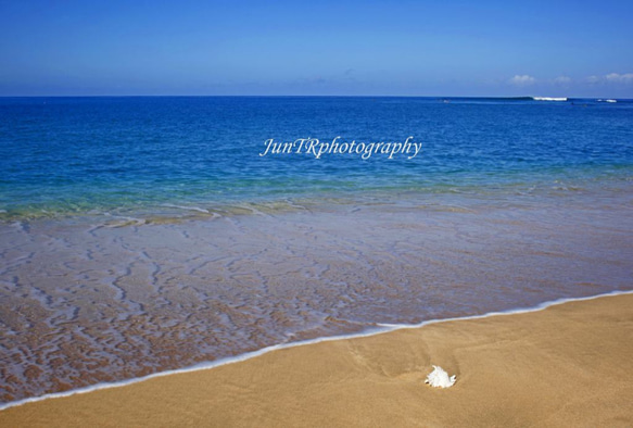 【Ocean Treasure】ハワイ海の写真　貝殻　オーシャン　ビーチ　青い海　南の島　南国　風景写真　マットフレーム 1枚目の画像