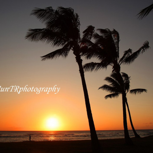 ram様　おまとめ　ロイヤルハワイアンの夕暮 ハワイのちょっといいお土産】ホテルグッズやロンハーマンの限定