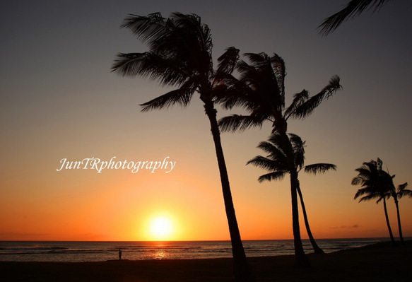 Feeling Nature】ハワイの写真 夕陽 オーシャン ビーチ ヤシの木 南の