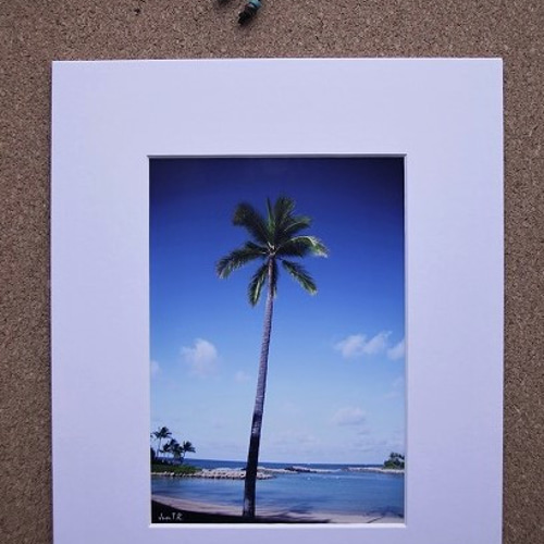 Palm Day】ハワイ写真 青い海 青空 パームツリー ビーチ ヤシの木 南の