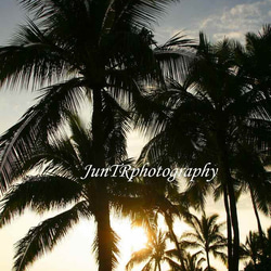 【Golden Twilight】ハワイ写真　オーシャン　ビーチ　ヤシの木　夕陽　南の島　南国　風景写真　マットフレーム 1枚目の画像