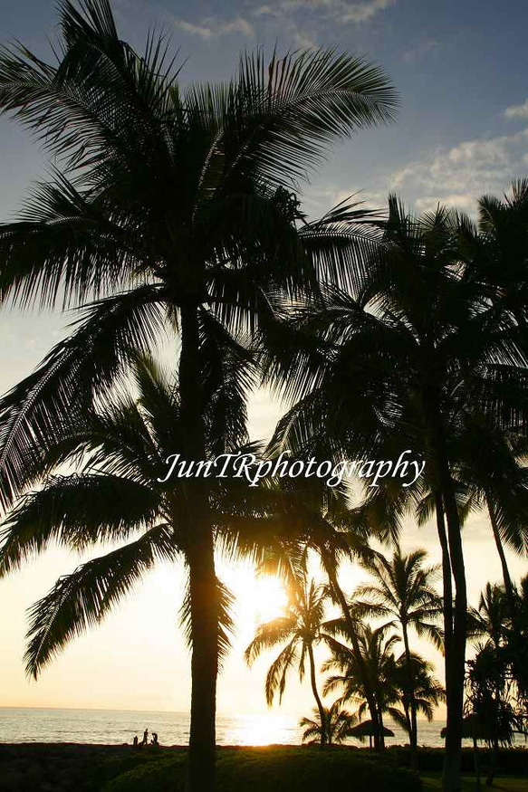 【Golden Twilight】ハワイ写真　オーシャン　ビーチ　ヤシの木　夕陽　南の島　南国　風景写真　マットフレーム 1枚目の画像