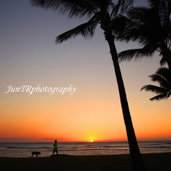 【Sunset Walk】ハワイ写真　夕陽　散歩　オーシャン　ビーチ　ヤシの木　南の島　南国　風景写真　マットフレーム 1枚目の画像