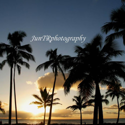 【Palm Sunset】ハワイ写真　オアフ　オーシャン　ビーチ　ヤシの木　夕陽　南の島　南国　風景写真　マットフレーム 1枚目の画像