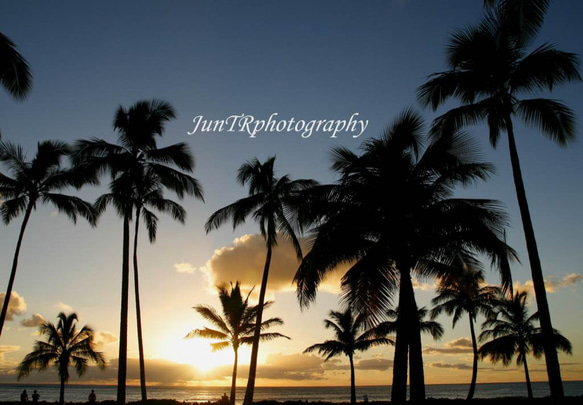 【Palm Sunset】ハワイ写真　オアフ　オーシャン　ビーチ　ヤシの木　夕陽　南の島　南国　風景写真　マットフレーム 1枚目の画像