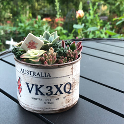 リメイク缶 多肉寄せ植え その他インテリア雑貨 favori.Ys 通販