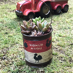 ビール缶 リメイク缶 多肉寄せ植え ダックスフント柄 その他