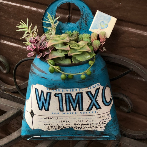 リメイク缶361☆多肉植物☆寄せ植え☆インテリア ビール缶 リメイク缶 多肉寄せ植え その他インテリア雑貨 favori