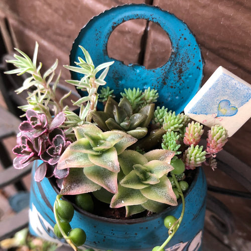 リメイク缶390☆アンティーク☆。.:＊・゜多肉植物☆寄せ植え