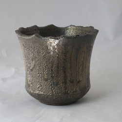 Kinguro Crater Pot（植木鉢） 2枚目の画像