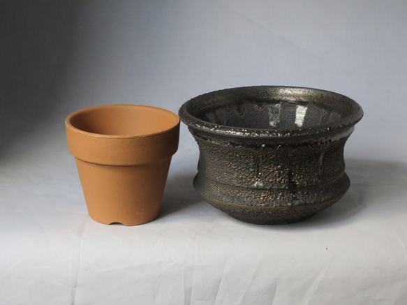 Kinguro Crater Pot（植木鉢） 3枚目の画像