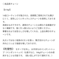 〜薔薇のパフュームネックレス〜　香水瓶　クリア　レジン　ドライフラワー　ペンダント春夏秋冬　クリスマス　プレゼント　バラ 10枚目の画像