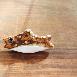 陶瓷胸針“圓點魚” 第2張的照片