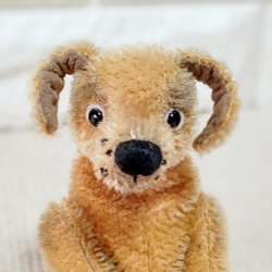 のら犬　ロンリー／テディベアタイプのたれ耳わんこ　18cm 5枚目の画像