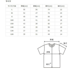  第6張的照片