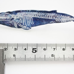 コイワシクジラの骨格ブローチ 5枚目の画像