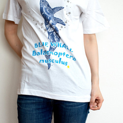 星を泳ぐクジラ 白Tシャツ Mサイズ Blue Whale ホワイト ハンドメイド 2枚目の画像