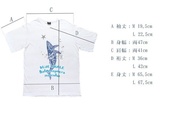 星を泳ぐクジラ 白Tシャツ Mサイズ Blue Whale ホワイト ハンドメイド 10枚目の画像