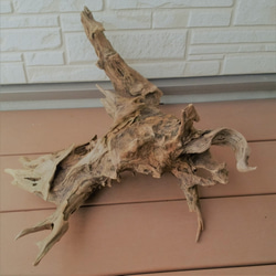 超希少】特大流木（切り株） 立体・オブジェ Drift Wood Remaker 通販