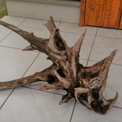 超希少】特大流木（切り株） 立体・オブジェ Drift Wood Remaker 通販