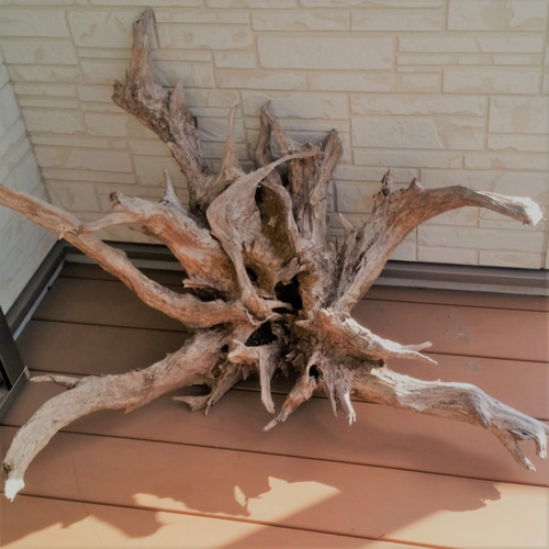 コンクリート盆栽 (large tree black-1) 流木 オブジェ コンクリート盆栽 (large tree black-1) 流木 オブジェ