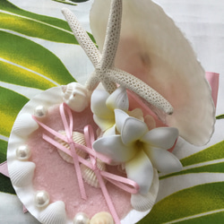 環枕羽毛的殼（藝術夏洛滕堡花）及海粉紅 第1張的照片