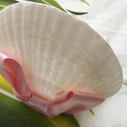 環枕羽毛的殼（藝術夏洛滕堡花）及海粉紅 第4張的照片