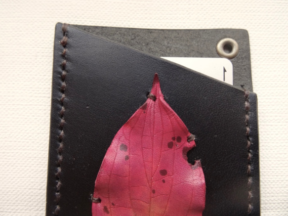 葉っぱが付いたパスケース　ハナミズキ 4枚目の画像