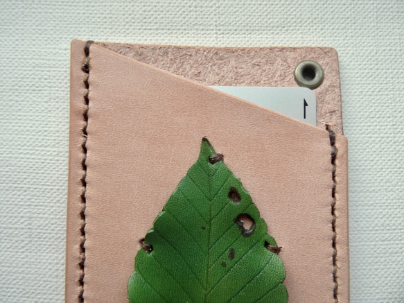 葉っぱが付いたパスケース　イヌブナ 4枚目の画像