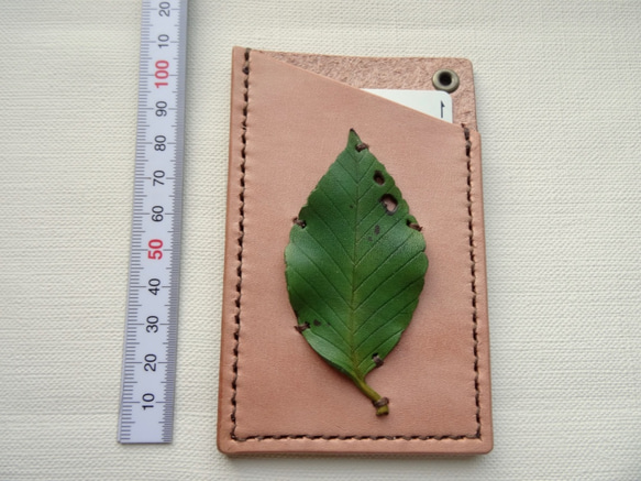 葉っぱが付いたパスケース　イヌブナ 5枚目の画像