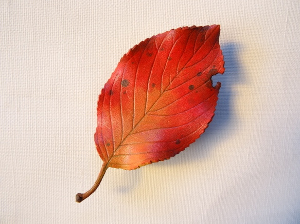 葉っぱのブローチ　M 1枚目の画像
