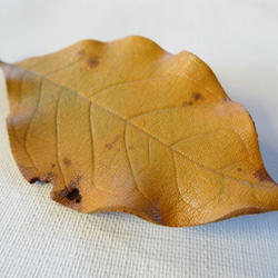 葉っぱのブローチ　M 3枚目の画像