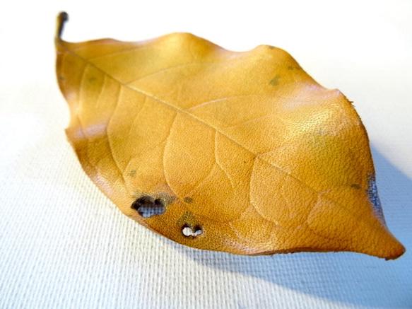 葉っぱのブローチ　M 3枚目の画像