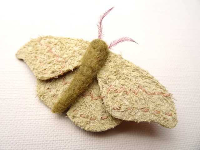 アオシャクのブローチ