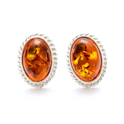 アンバー（琥珀）のジュエリー　イヤリング　ピアス　Amber Quintessence Stud Earrings 1枚目の画像