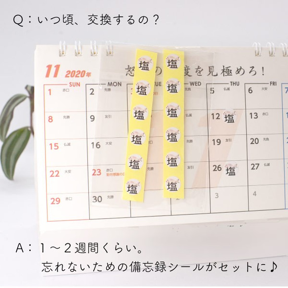 おしゃれなレジン製【盛り塩皿3枚】と盛り塩専用塩のセット 10枚目の画像