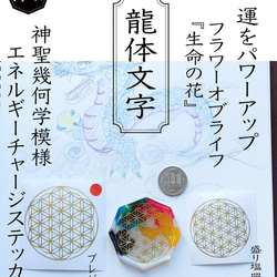 風水 インテリア 【 オーダーメイド 龍体文字 】 リバーシブル　如来くんデザイン 8枚目の画像