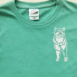 型染め130㎝動物子供Tシャツ  ～柴犬&アイビー～  エメラルドグリーン色 2枚目の画像