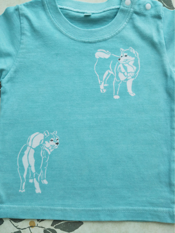型染め80㎝子供Tシャツ～柴犬～ 薄あおみどり 1枚目の画像