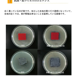 福袋　マスク　マスクケース　エコバッグ 3点セット　抗菌抗ウイルス　岡山デニム　 10枚目の画像